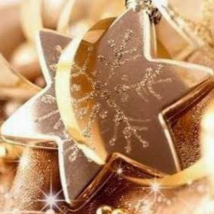 Meet your Posher, Zoey